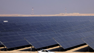 UAE inaugurates giant solar plant, two weeks before climate talks