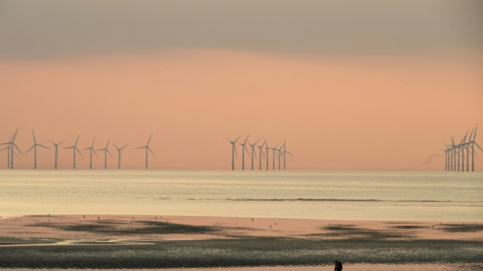 UK unveils £11 bn windfarm investment by UAE, German firms