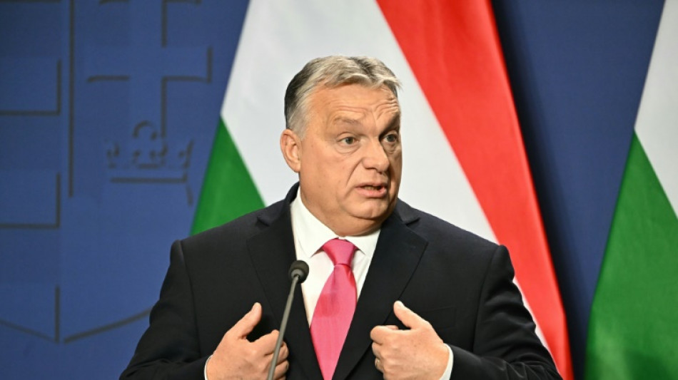 Orban: Ein "Übel nagt an westlichen Demokratien"