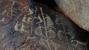 Australia se apremia para salvar antiguas inscripciones aborígenes en árboles