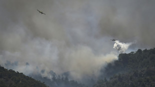 Thousands more evacuated as Greece 'at war' with forest fires