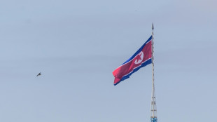 N Korea sending 'large-scale' troop deployment to Russia, Seoul spy agency says