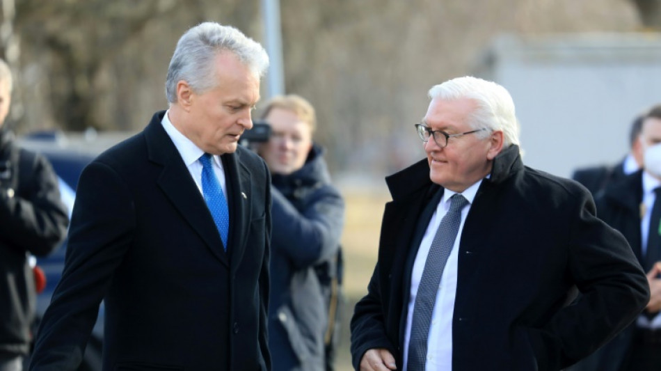 Steinmeier versichert Osteuropa Bündnissolidarität "ohne Wenn und Aber"