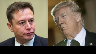 Elon Musk dice que quiere levantar el veto a Trump en Twitter