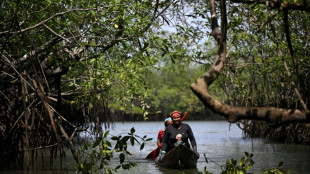 La exitosa batalla de los afrocolombianos para conservar su paraíso en el Pacífico