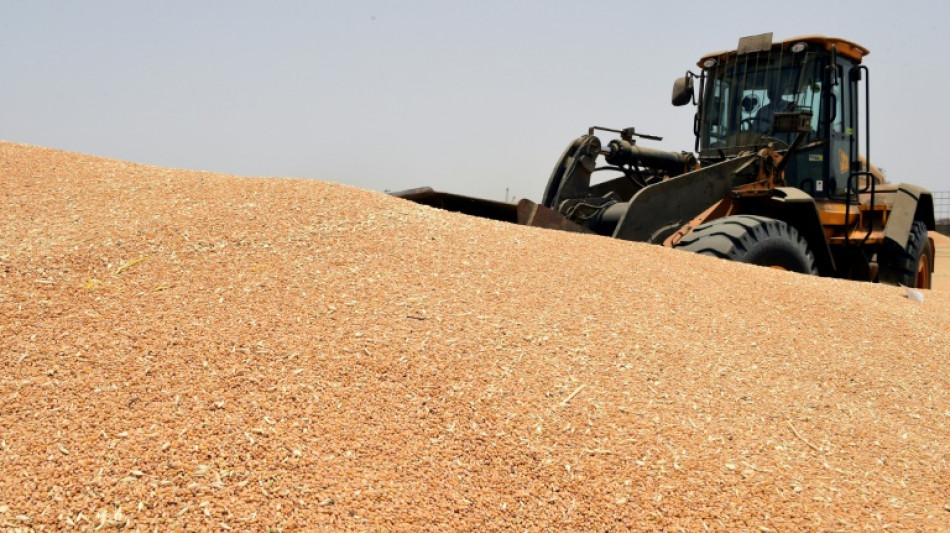 UN urges Ukraine grain release, World Bank pledges extra $12 bn