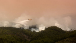 Evacúan a 3.000 personas por incendio en isla española de Tenerife