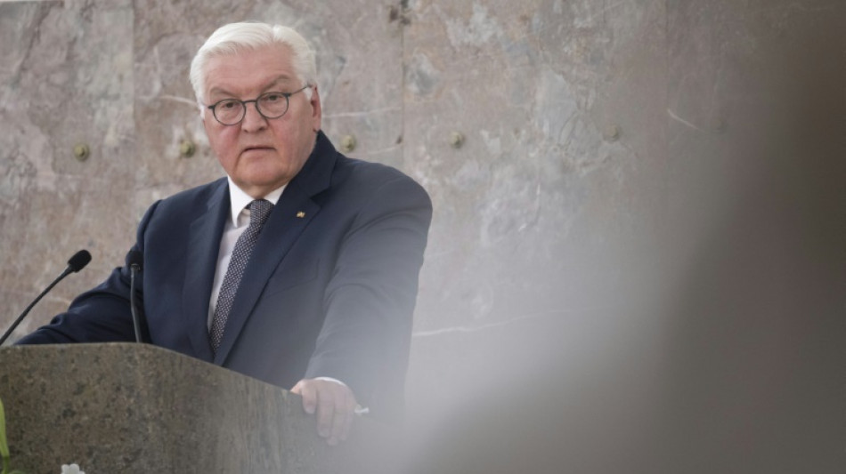 Steinmeier warnt vor Verharmlosung rechtsextremer Strukturen