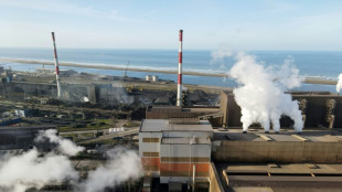 ArcelorMittal retarde son projet d'acier décarboné à Dunkerque 