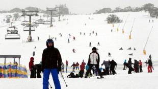 Studie: Australische Alpen verlieren durch Klimawandel Schnee