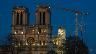 Paris fire exposes hidden iron holding up Notre-Dame