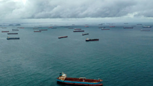 Global maritime trade sails into geopolitical storm