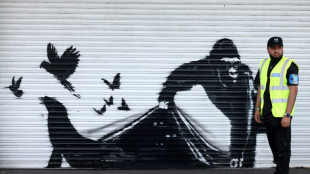 Banksy conclui série de pinturas com animais em Londres