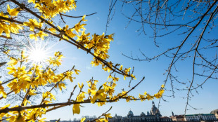 Wetterdienst: Frühling in Deutschland in diesem Jahr so warm wie nie zuvor