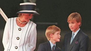 William et Harry, deux frères jadis soudés, désormais éloignés