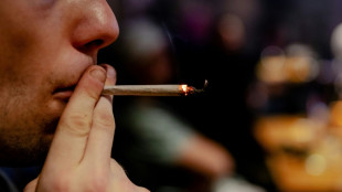 High time: Dutch savour legal pot trial