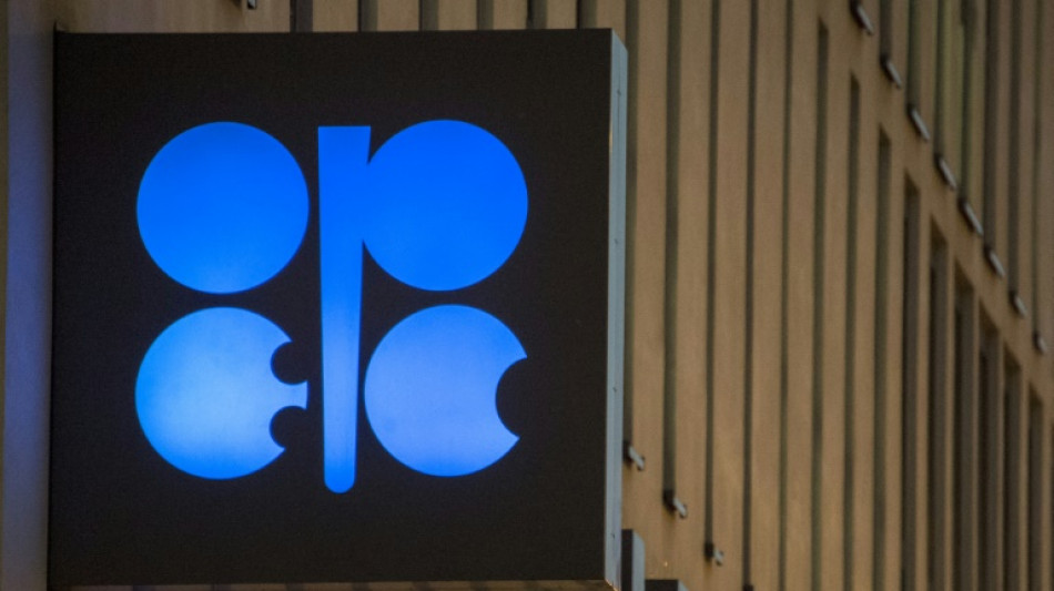 Angola departure a blow for OPEC+ as cartel tensions rise 