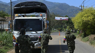 Las disidencias de las FARC anuncian una tregua de acciones ofensivas durante la COP16 en Colombia