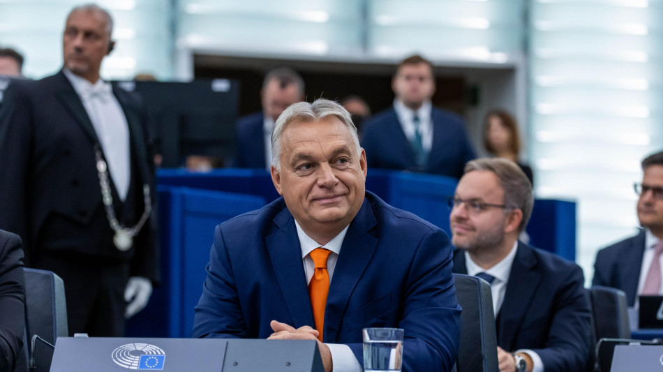 Orban, 'Salis una picchiatrice, assurdo parli di diritti'