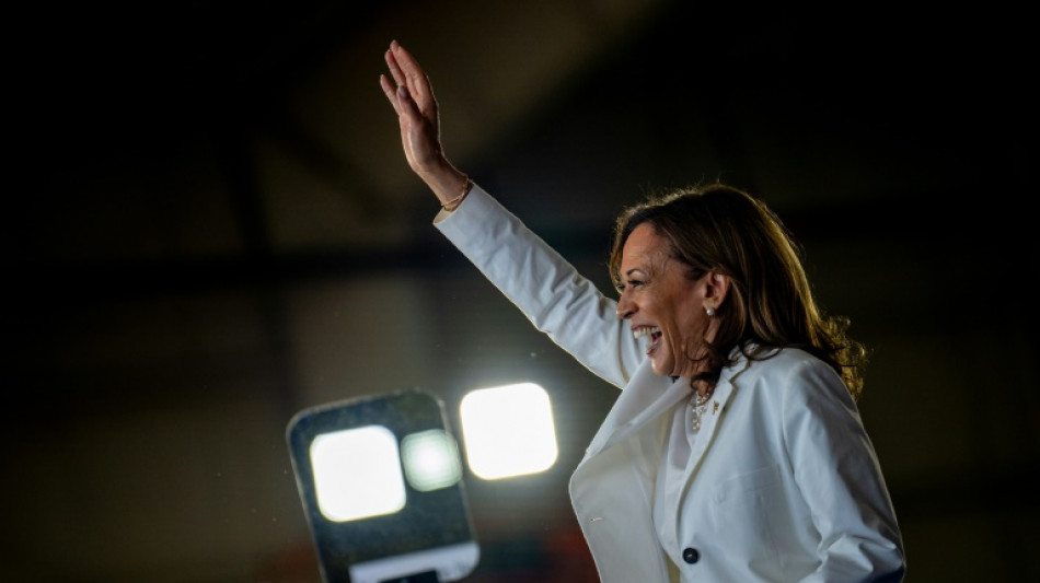 Can Harris win back Michigan's crucial Muslim vote?