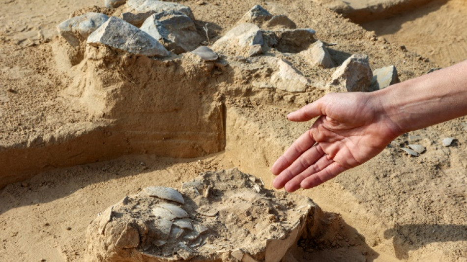 Ancient ostrich eggs found in southern Israeli desert