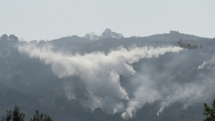 Firefighters battle blaze in northwestern Spain