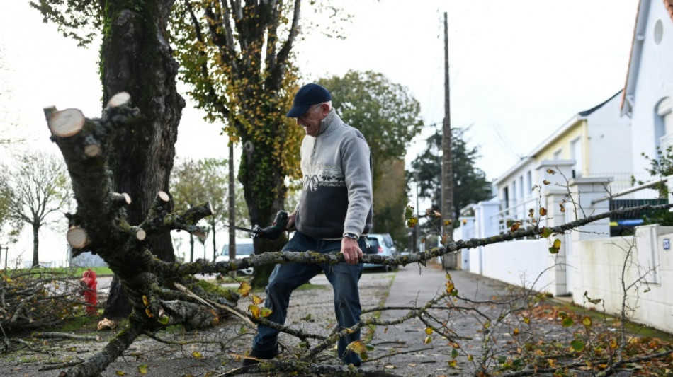 Sturm "Ciaran" erreicht über Frankreich Rekord-Windgeschwindigkeiten - ein Toter