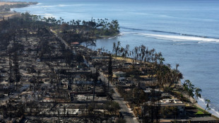 Hawaii wildfire tragedy was 'years in the making,' probe says