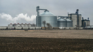 Le bioéthanol, une alternative moins chère mais pas si bio