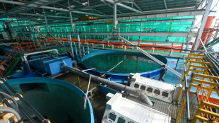 Singapore engineer pivots from oil rigs to 'fish farm of the future'