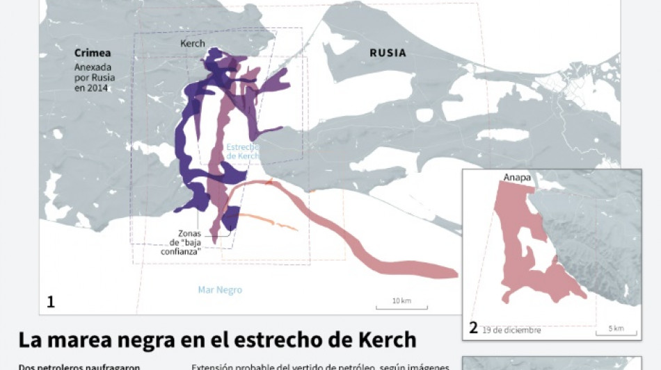 Hallados muertos varios cetáceos en las costas de Crimea debido a la marea negra