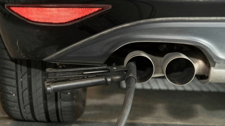 EU rules have failed to cut car C02 emissions: report