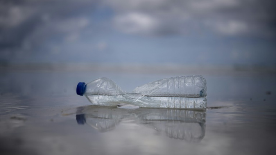 Une consigne pour les bouteilles plastiques en France? Le gouvernement doit décider avant juin