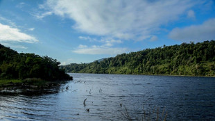 Chile crea un santuario para proteger un humedal en el Archipiélago de Chiloé