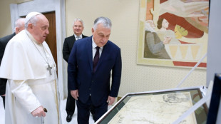 Orban se reúne con el papa para hablar sobre Ucrania