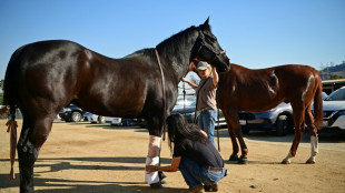 Chevaux, chiens, lapins: les incendies de Los Angeles traumatisent aussi les animaux