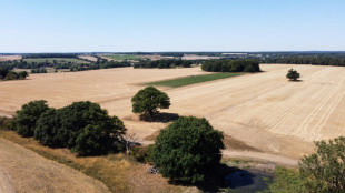 Una buena parte de Inglaterra declarada en estado de sequía