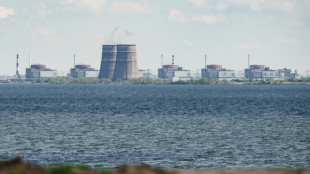 Shelling forces Ukraine nuclear plant off grid as Zelensky warns of 'disaster'