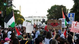 Proteste gegen Gaza-Krieg in US-Metropolen - Mann setzt seinen Arm in Brand 