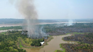 La Amazonia arde en la nueva "frontera de la deforestación"