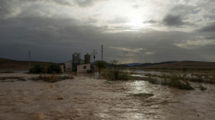 Durch Extremwetter in Europa in 40 Jahren mehr als 140.000 Tote