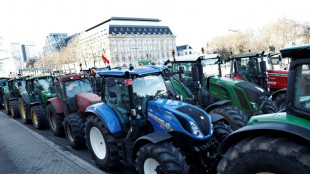 Farmers take protest to EU leaders