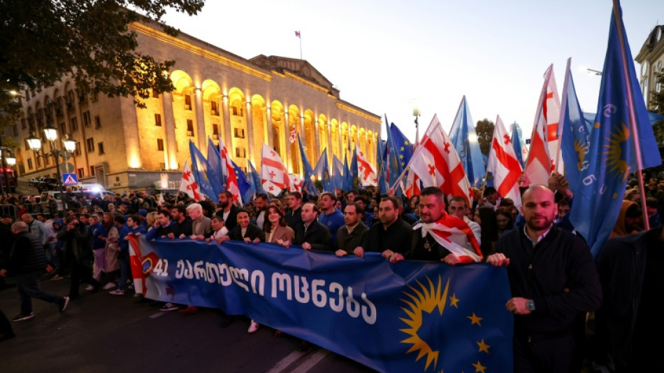 Georgia ruling party stages mass rally ahead of key vote