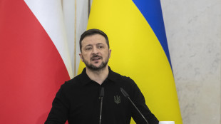 Zelensky, non abbiamo la forza per riprenderci Crimea e Donbass