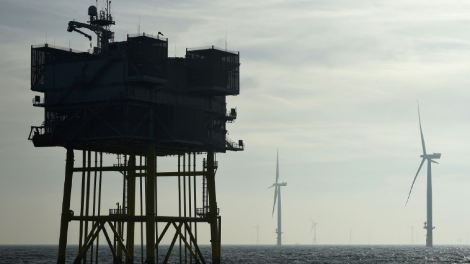 Quatre pays de l'UE s'engagent à décupler leur éolien en mer du Nord d'ici 2050