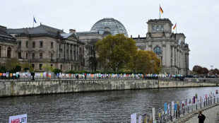 Union bietet Rot-Grün Zusammenarbeit in Einzelfällen an - Gespräche im Bundestag