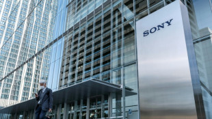 Sony empezará a prescindir del plástico en los empaquetados en 2023
