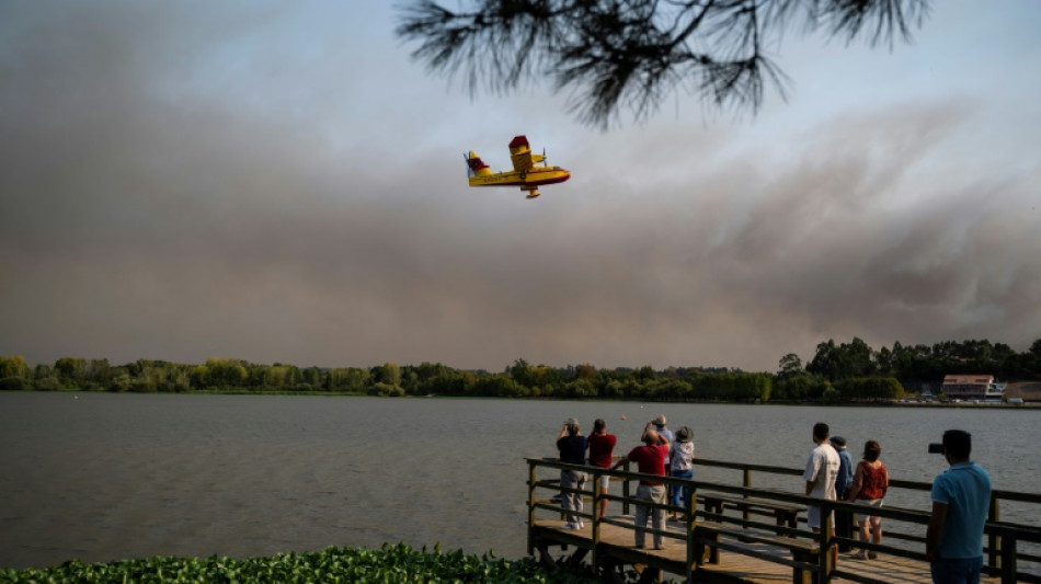 Le Portugal toujours en proie à de violents feux de forêt