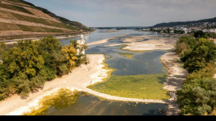 Sommer in Deutschland in diesem Jahr erneut zu heiß und zu trocken