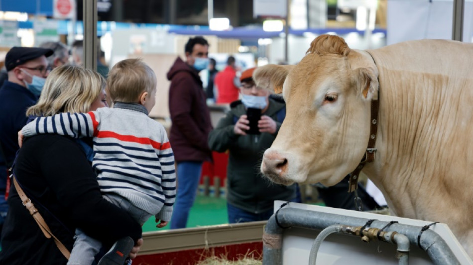 Au Salon de l'agriculture, Neige, les "experts" et la joie retrouvée